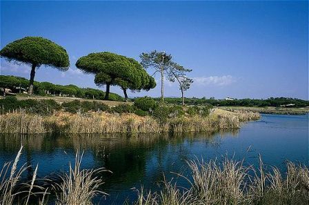 Central Algarve