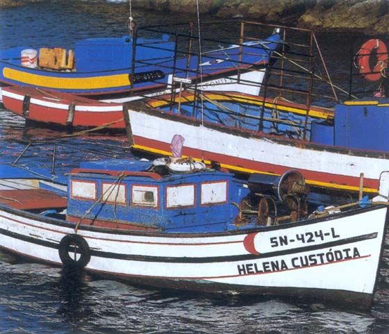 Albufeira Boats