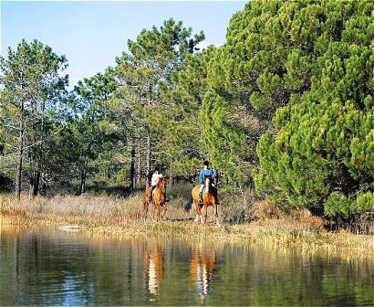 Algarve Horse Riding