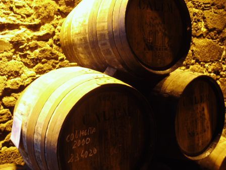 Port Wine Casks