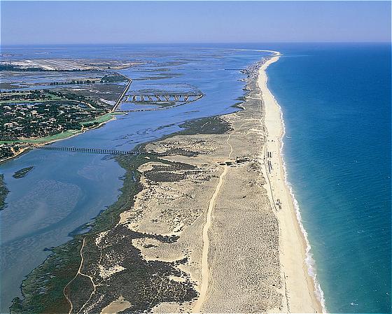 Natural Park Ria Formosa