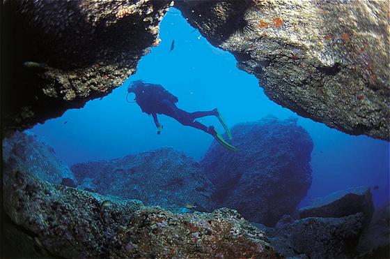 Algarve Diving Beaches