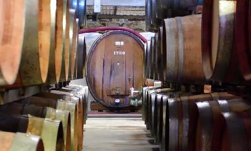Port Wine Barrels