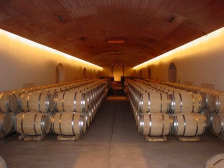 Wine Cellar